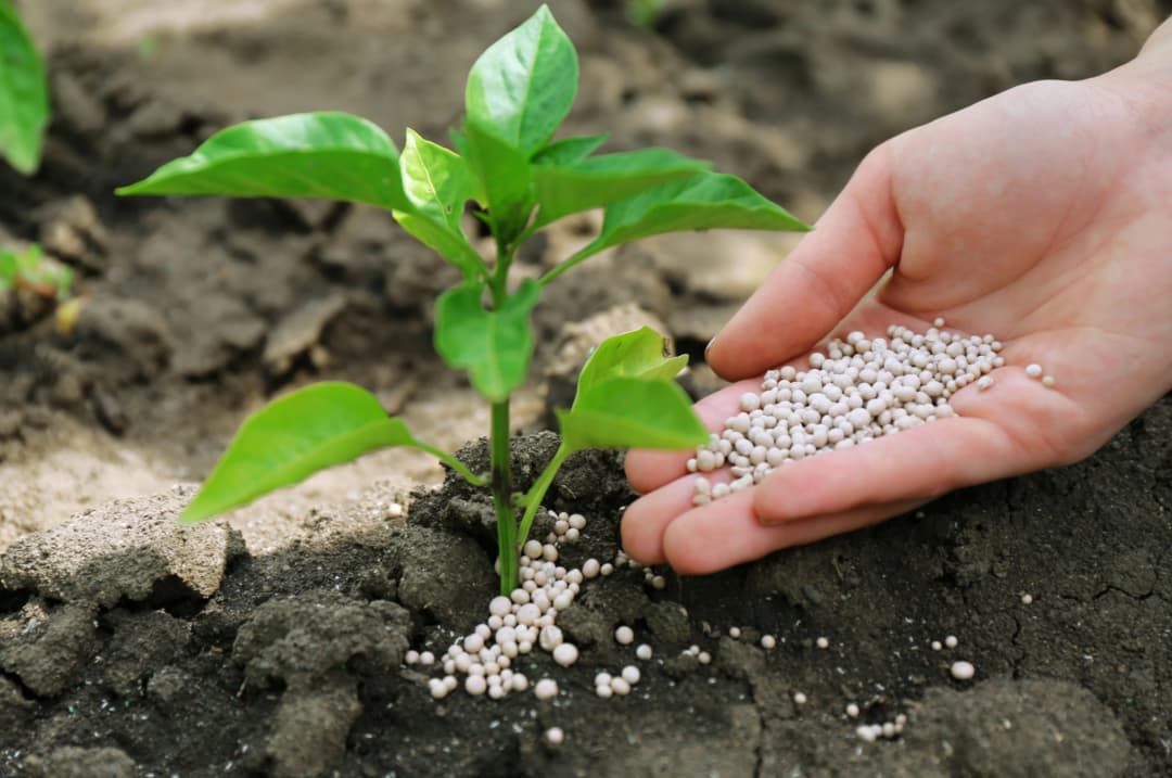 Fertilizantes